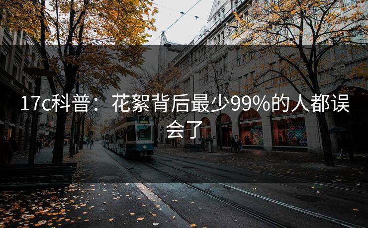 17c科普：花絮背后最少99%的人都误会了