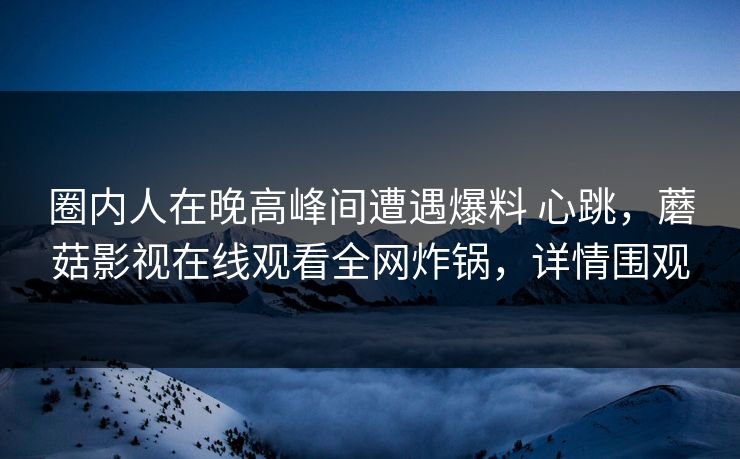 圈内人在晚高峰间遭遇爆料 心跳，蘑菇影视在线观看全网炸锅，详情围观