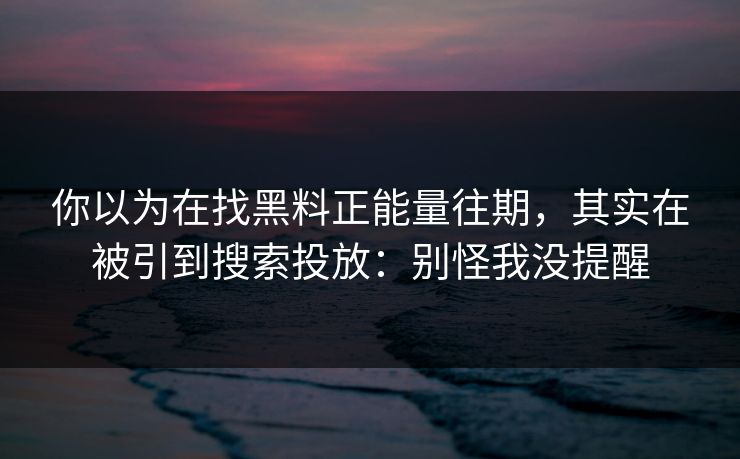 你以为在找黑料正能量往期，其实在被引到搜索投放：别怪我没提醒