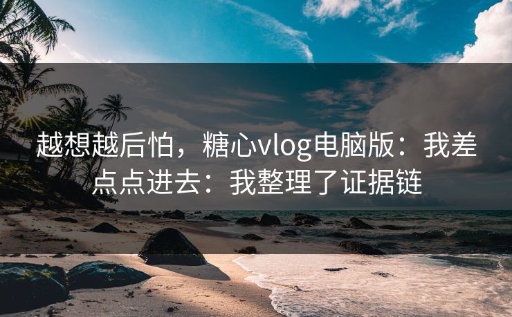 越想越后怕，糖心vlog电脑版：我差点点进去：我整理了证据链